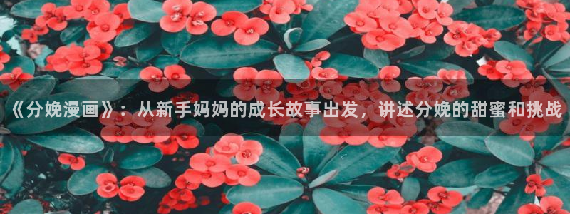 行业资讯